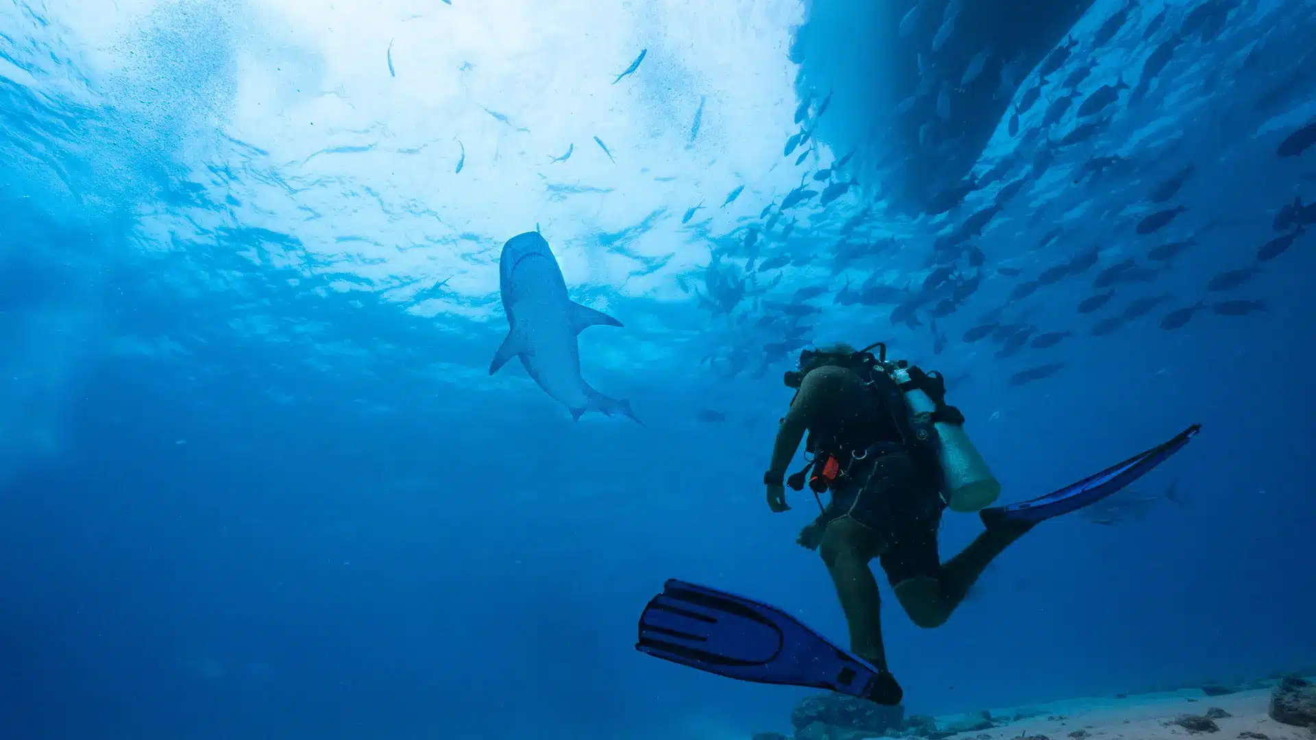 under water activity