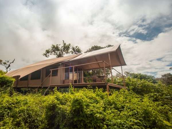 Galapagos Safari Camp Safari Tent Ext