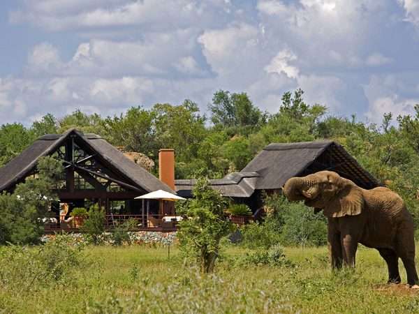 Mateya-elephant-drinking-in-front-of-lodge