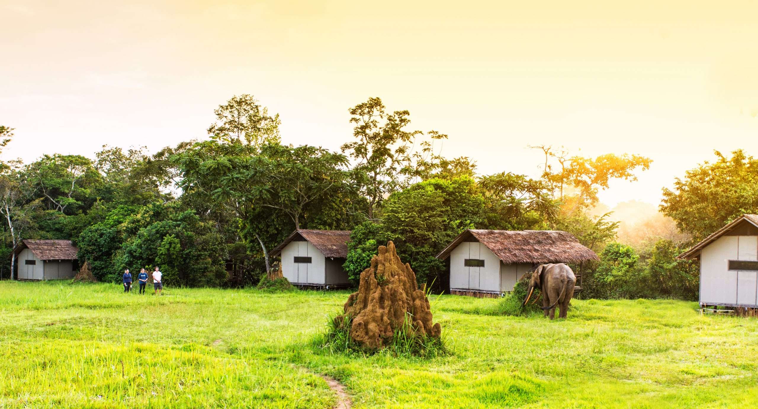 Experience Mboko Camp in Odzala-Kokoua National Park with riverside cabins, walking safaris, wildlife viewing, and Congo rainforest adventures.