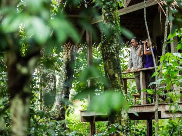 Odzala Discovery Camps - Mboko Camp - From your private deck