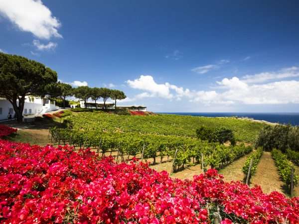 Capofaro Salina – Vineyard Retreat by ILV