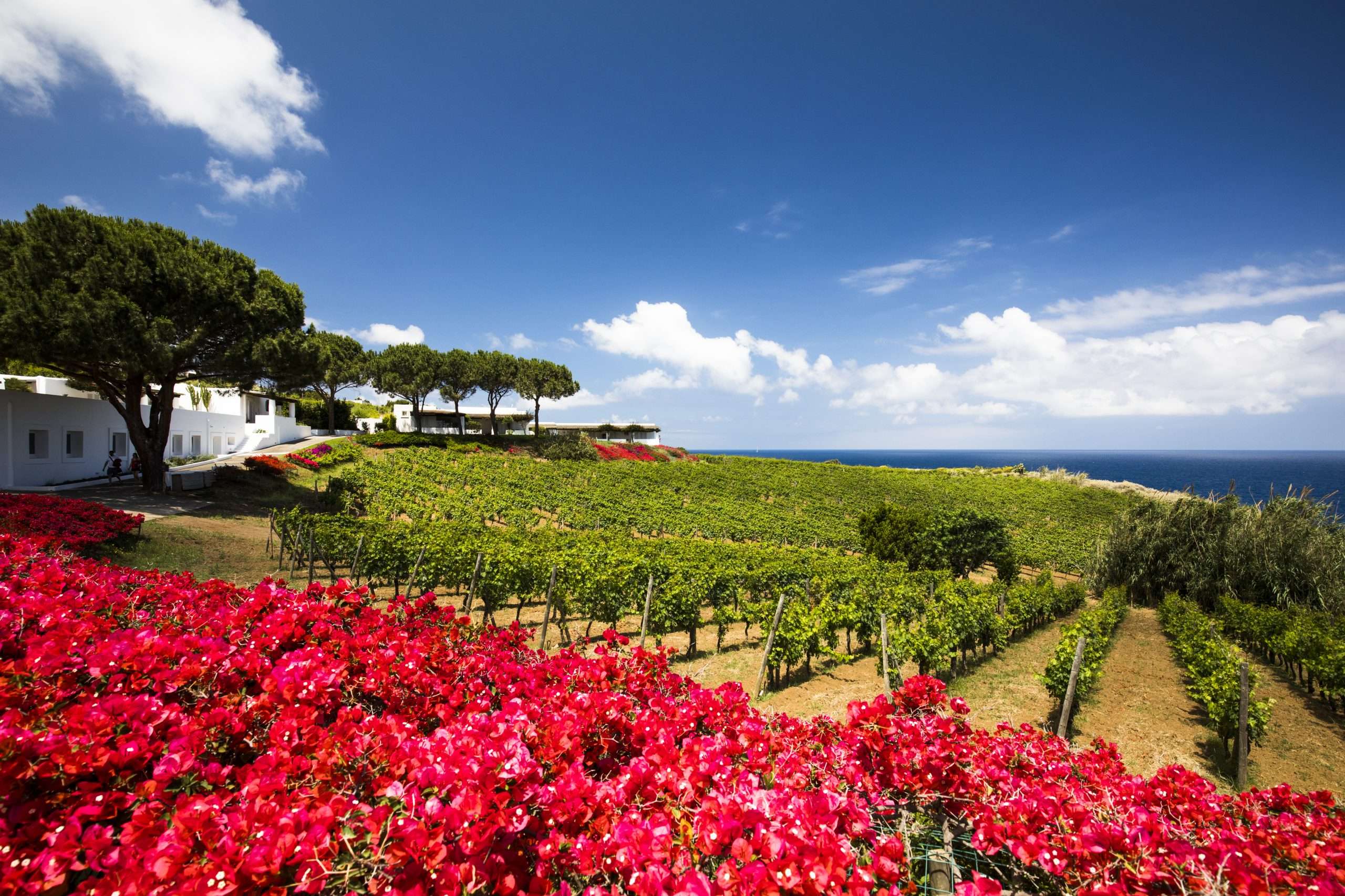 Capofaro Salina – Vineyard Retreat by ILV