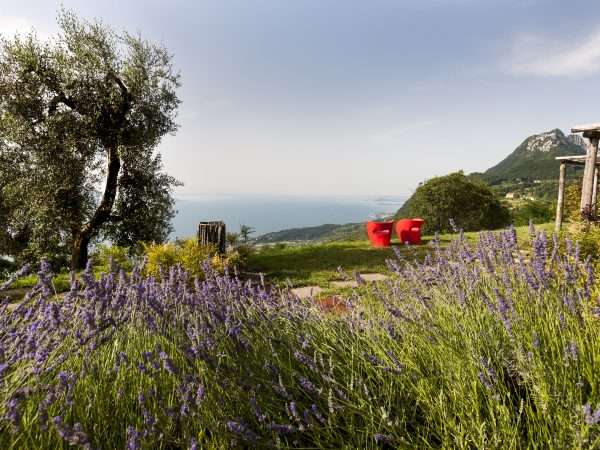 Italy; Lago di Garda; Lefay Resort and Spa; Via Feltrinelli 118; 25084 Gargnano. www.lefayresorts.com, Therapeutic Gardens