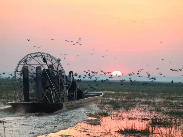 Bamurru-Plains_Top-End_Airboat-Safari-Emma-Pritchett_IG