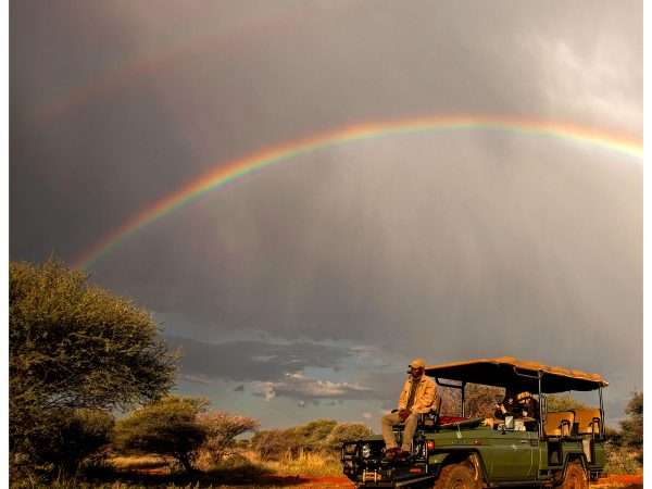 Game-drive-
