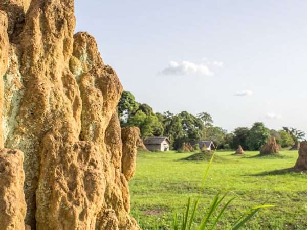 Odzala Discovery Camps - Mboko Camp - Landscape