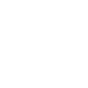 WITHIN