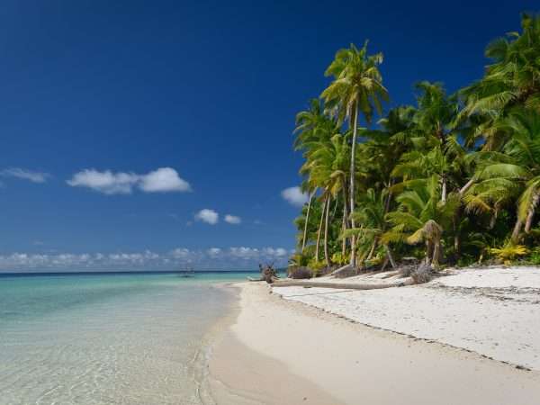 alphonse-island-about-alphonse-island-4col-1st-100percent-1-photo-alphonse-island-destination-with-white-sandy-beaches-and-clear-skies