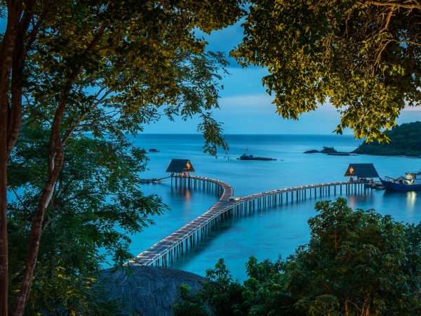 jetty_view_from_treetop_at_dusk (1)