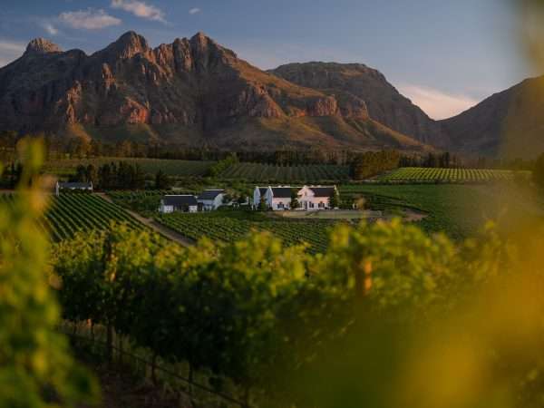 Brookdale Estate - A view of the Manor House form vineyards