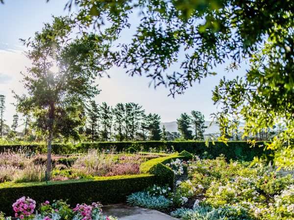 Brookdale Estate - Manor House Gardens