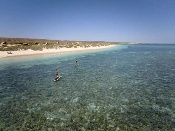 Sal-Salis_Ningaloo-Reef_Experience-Paddleboarding_LLoA-1024x767