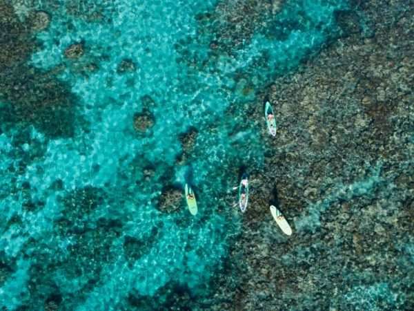 Sal-Salis_Ningaloo-Reef_Paddleboarding-Reef-1024x575