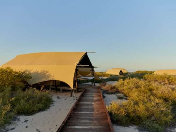 Sal-Salis_Ningaloo-Reef_Suite-Tent-Boardwalk-Entrance_LLoA-1024x683