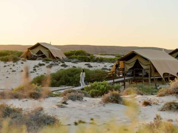 Sal-Salis_Ningaloo-Reef_Suite-Tents-Woman-Boardwalk_LLoA-1024x683