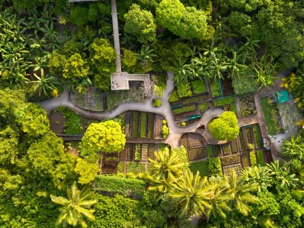 Soneva Fushi - Organic Gardens