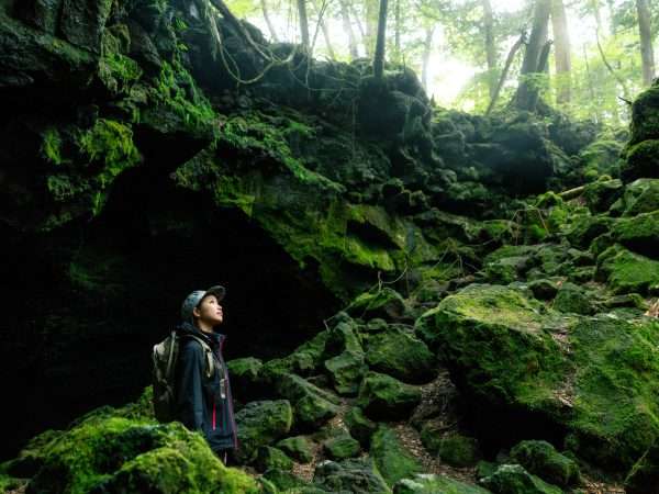 Experience Fuji no Jukai Nature Tour - HOSHINOYA Fuji