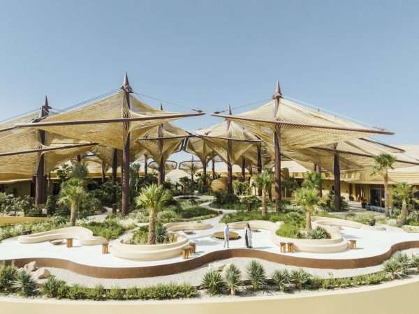 The Oasis Drone View