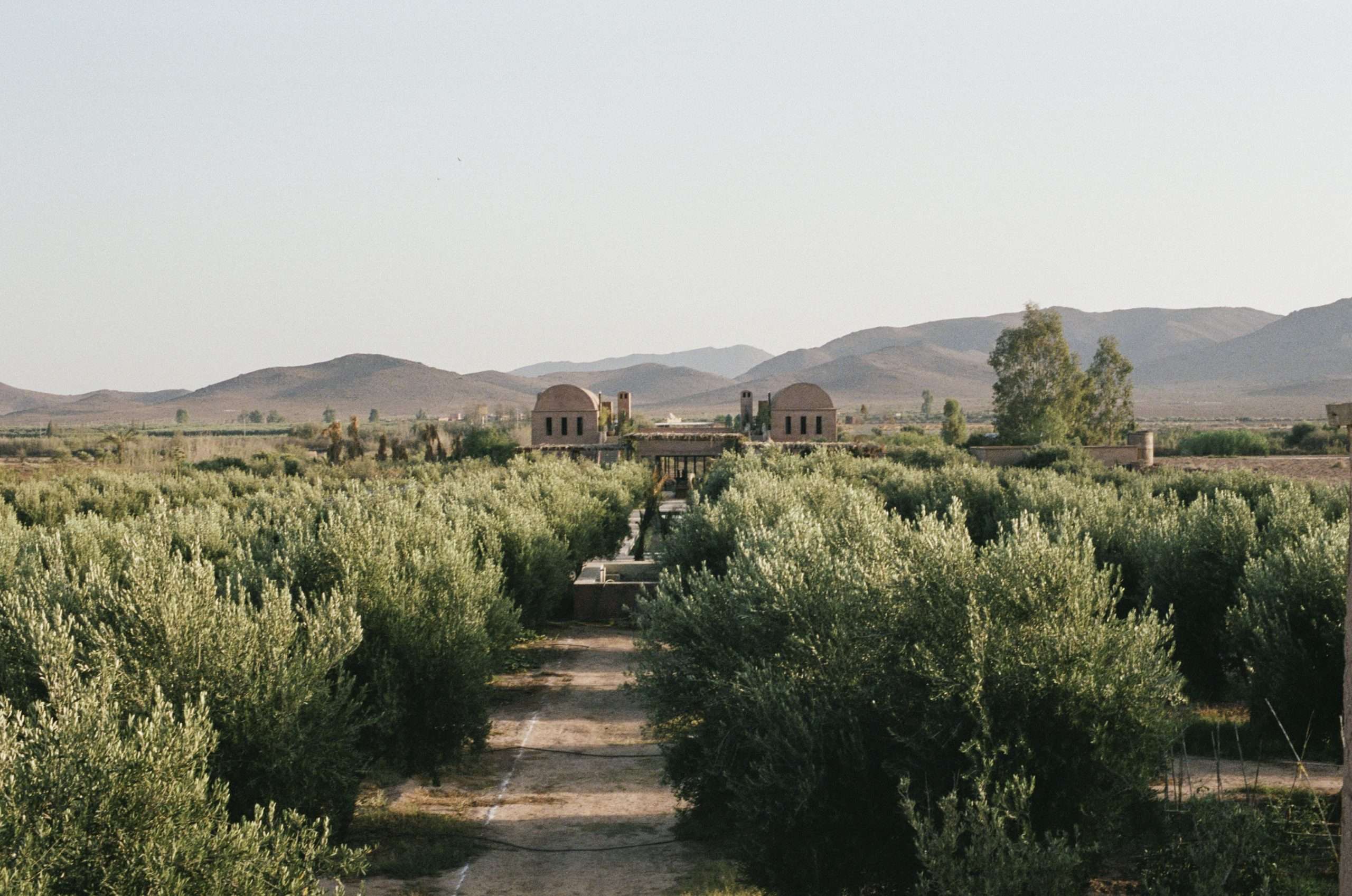 Farasha Farmhouse – Luxury Retreat Marrakech