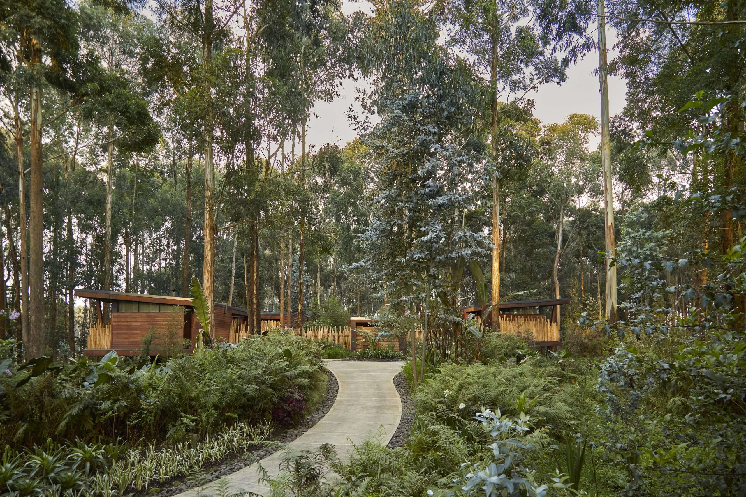 One&Only Gorilla’s Nest | Luxury Rwanda Safari Lodge