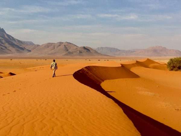 WOLWEDANS COLLECTION - Walking safaris - Dune walking