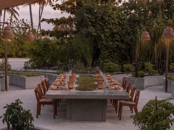 PATINA_MALDIVES_F_B_ROOTS_03