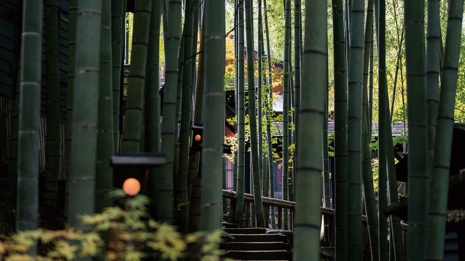 Takefue Japan | Luxury Bamboo Forest Ryokan