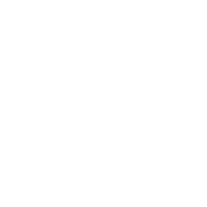 The_Alliance_Logo_2024_WHITE (1)