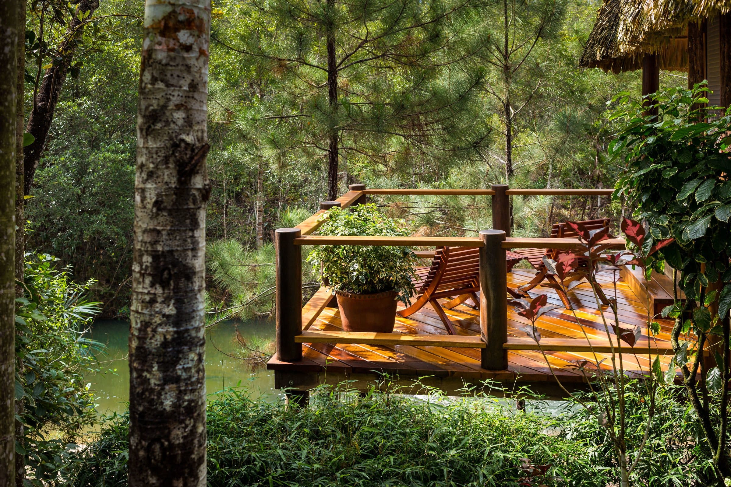 Blancaneaux Lodge Belize | Luxury Jungle Retreat