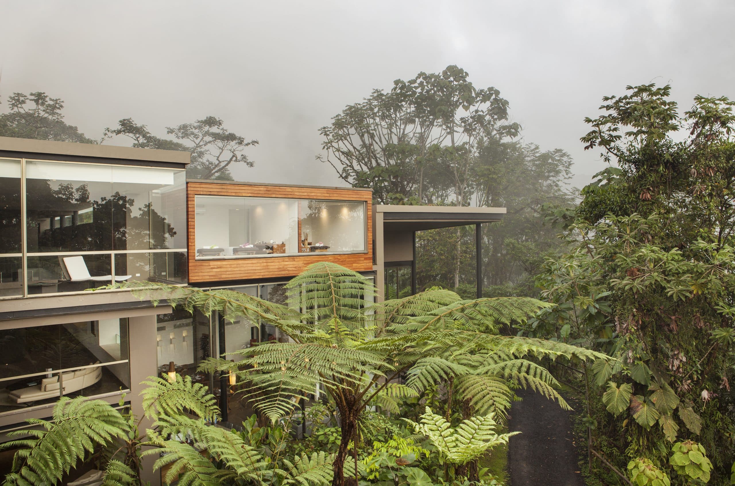 Mashpi Lodge Ecuador | Luxury Cloud Forest Stay
