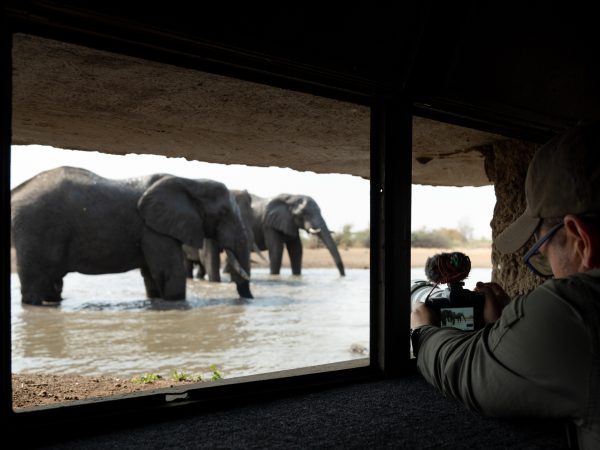 Singita Malilangwe_Photo Hide
