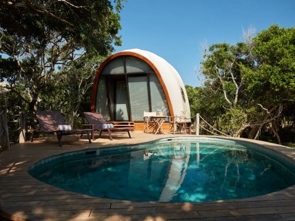 Wild Coast cocoon 3