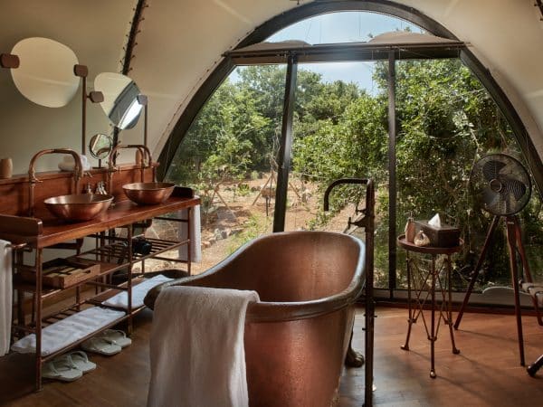 Wild Coast cocoon 9