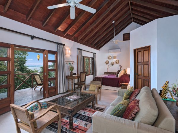 rainforest suite_b