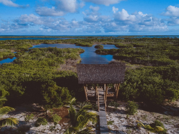 barbuda-belle-16