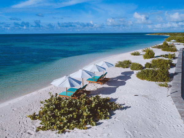 xbarbuda-belle-7.webp.pagespeed.ic.Fy4SM0wdxh