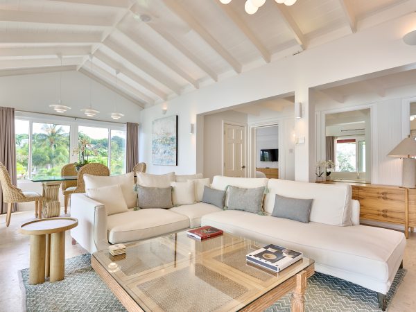 Penthouse Living Room 2